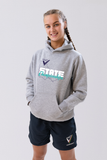 2026 State Volleyball Hoodie
